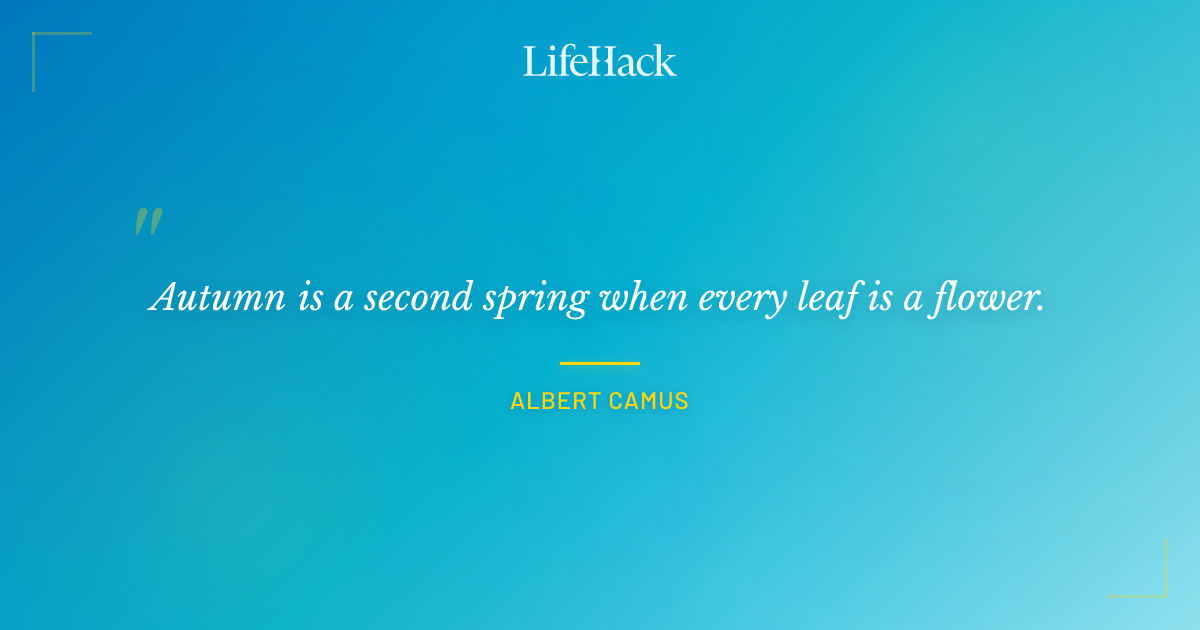 Quote by Albert Camus