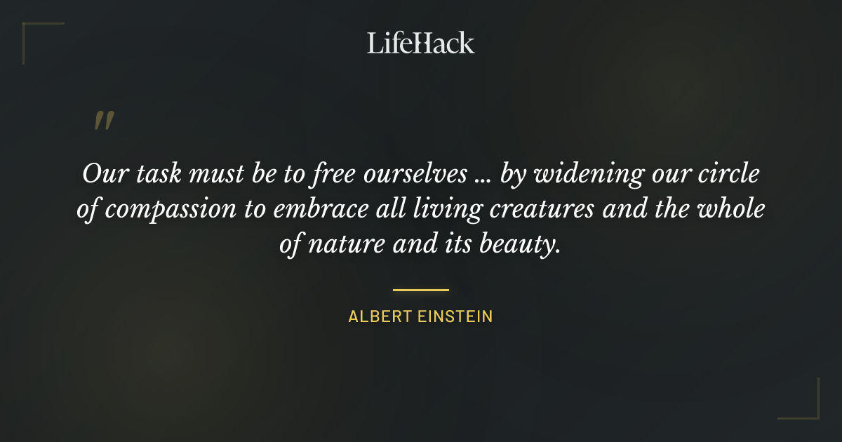 Quote by Albert Einstein
