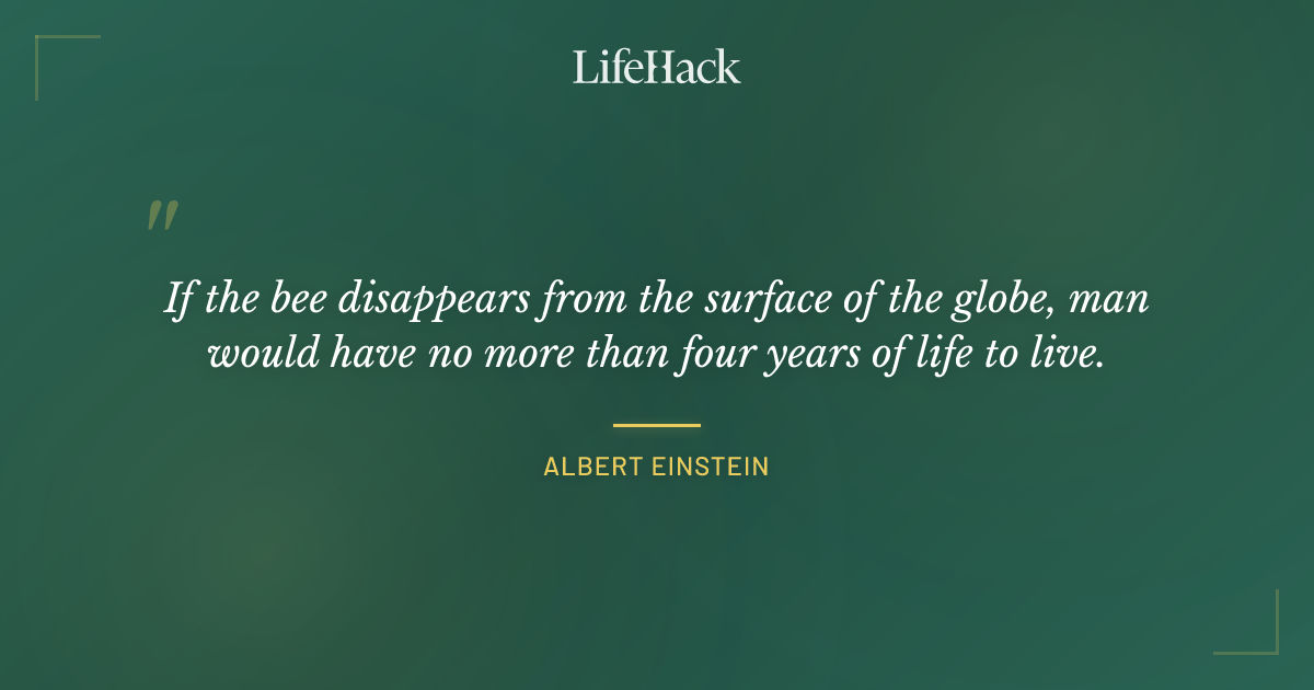 Quote by Albert Einstein