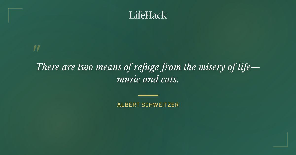 Quote by Albert Schweitzer