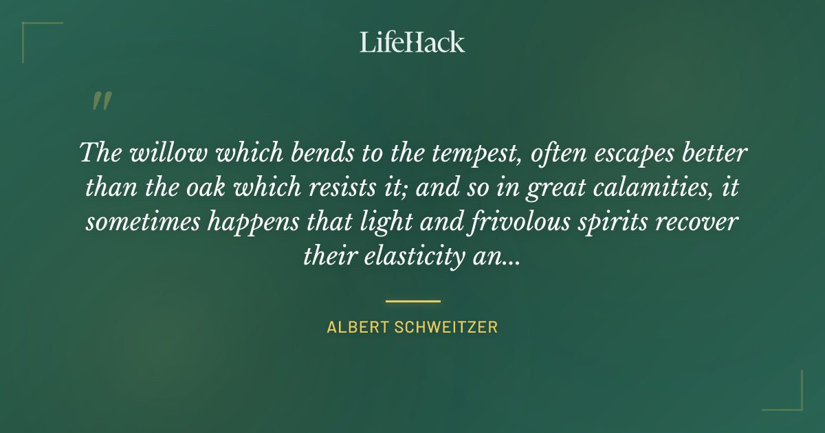 Quote by Albert Schweitzer