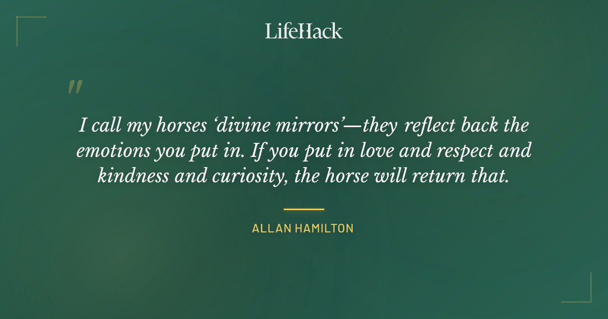 Quote by Allan Hamilton