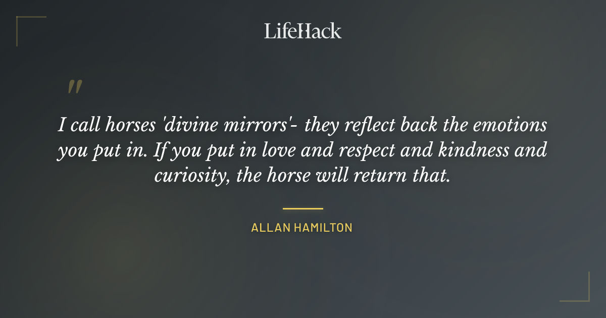 Quote by Allan Hamilton