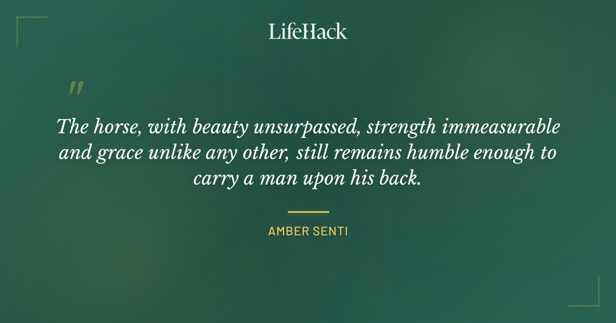 Quote by Amber Senti