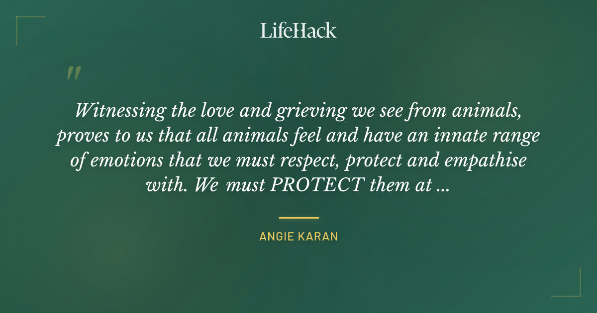 Quote by Angie karan