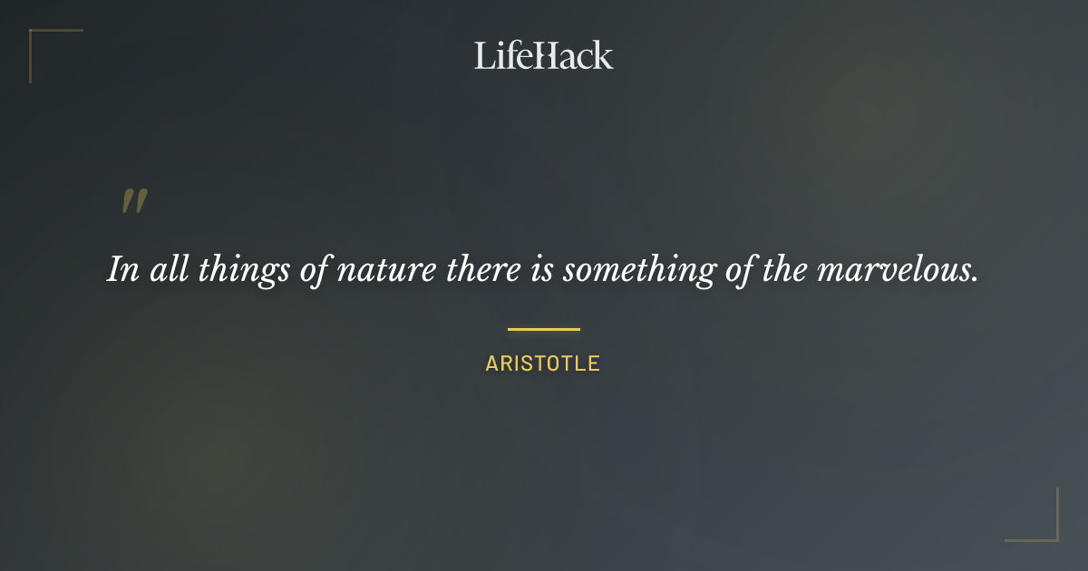 Quote by Aristotle