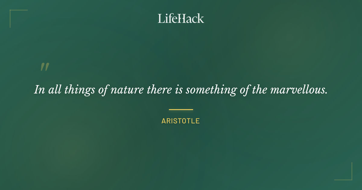 Quote by Aristotle