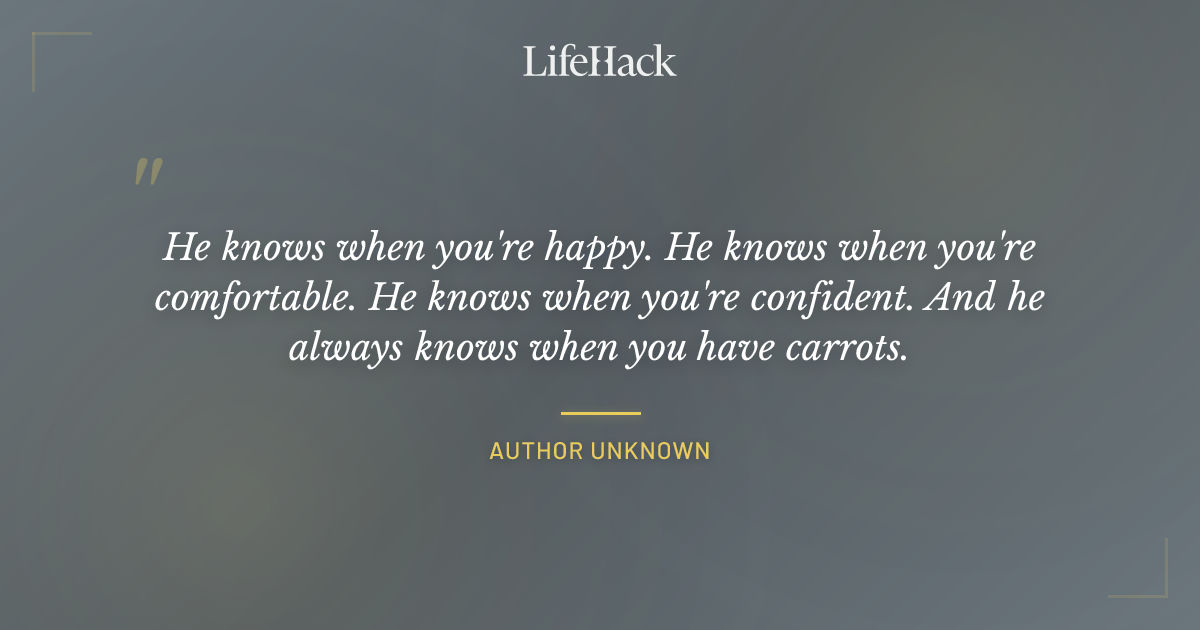 Quote by Author Unknown