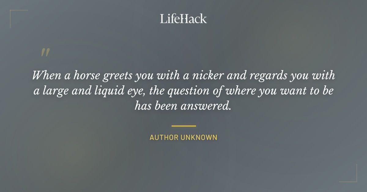 Quote by Author Unknown