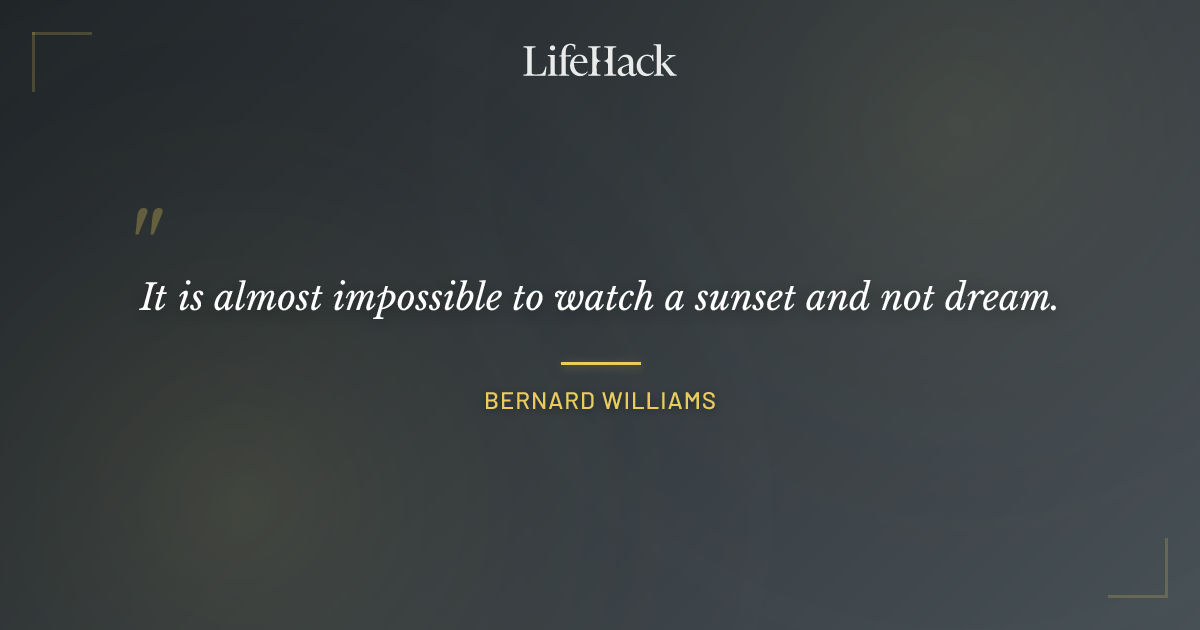 Quote by Bernard Williams