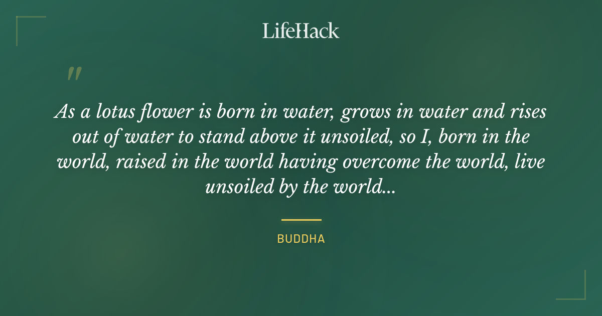 Quote by Buddha