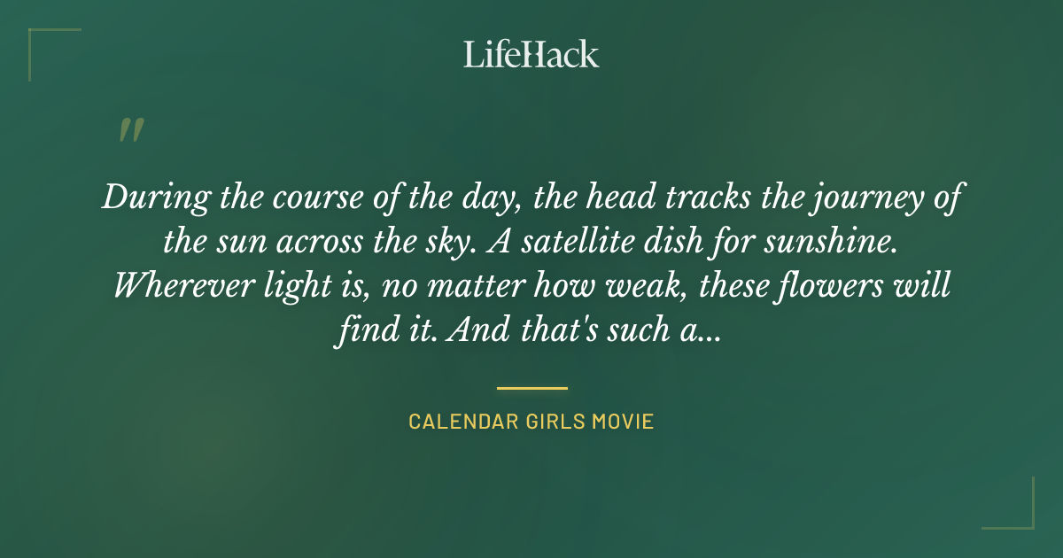 Quote by Calendar Girls Movie