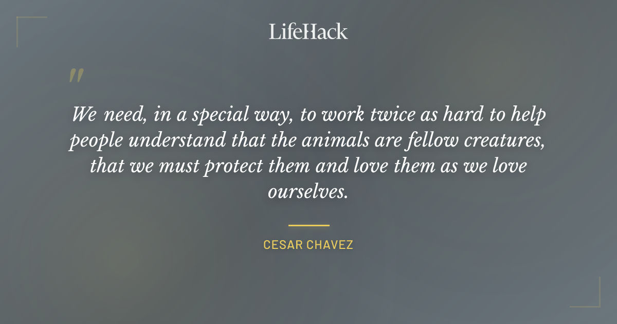 Quote by Cesar Chavez