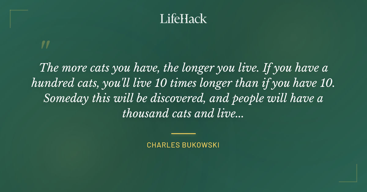 Quote by Charles Bukowski