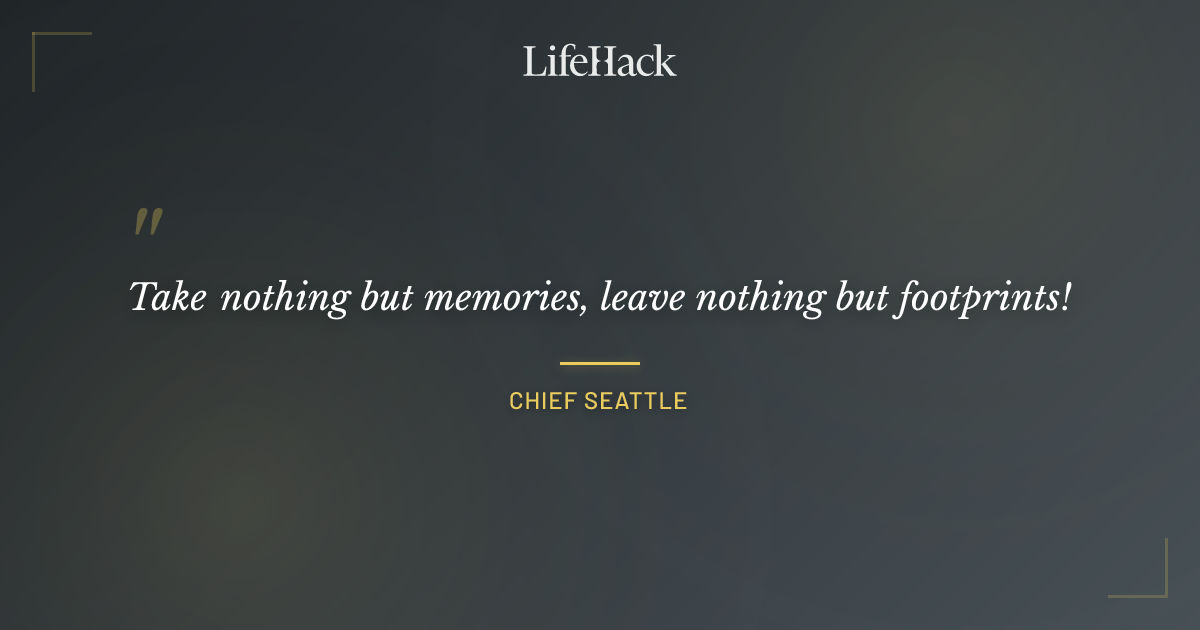 Quote by Chief Seattle