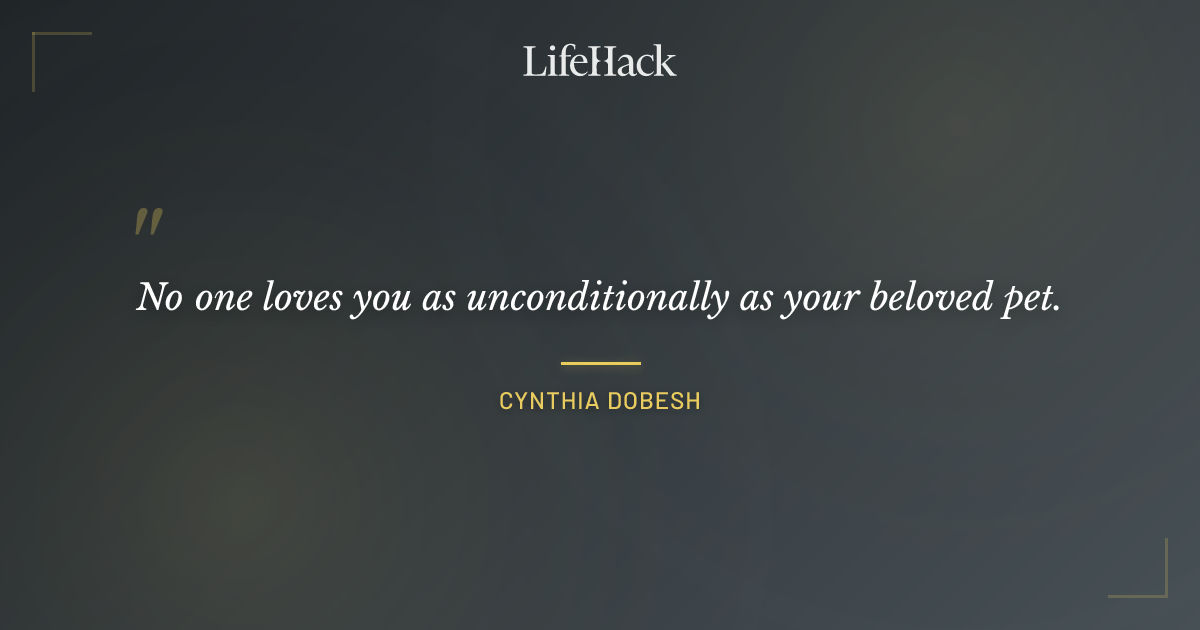 Quote by Cynthia Dobesh