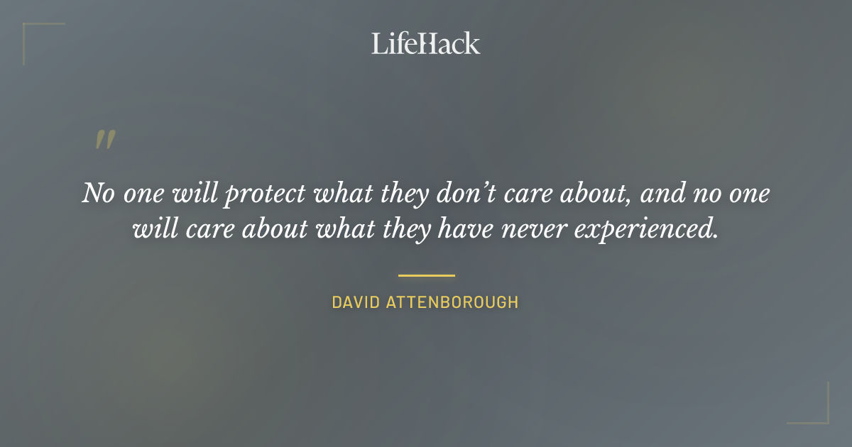 Quote by David Attenborough