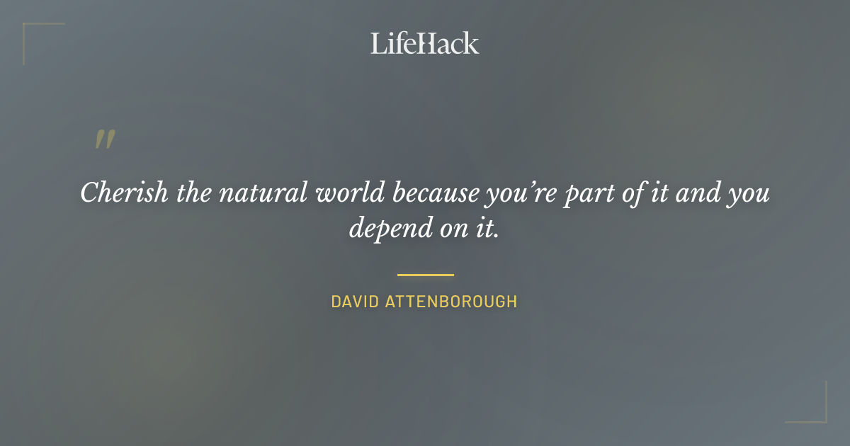 Quote by David Attenborough