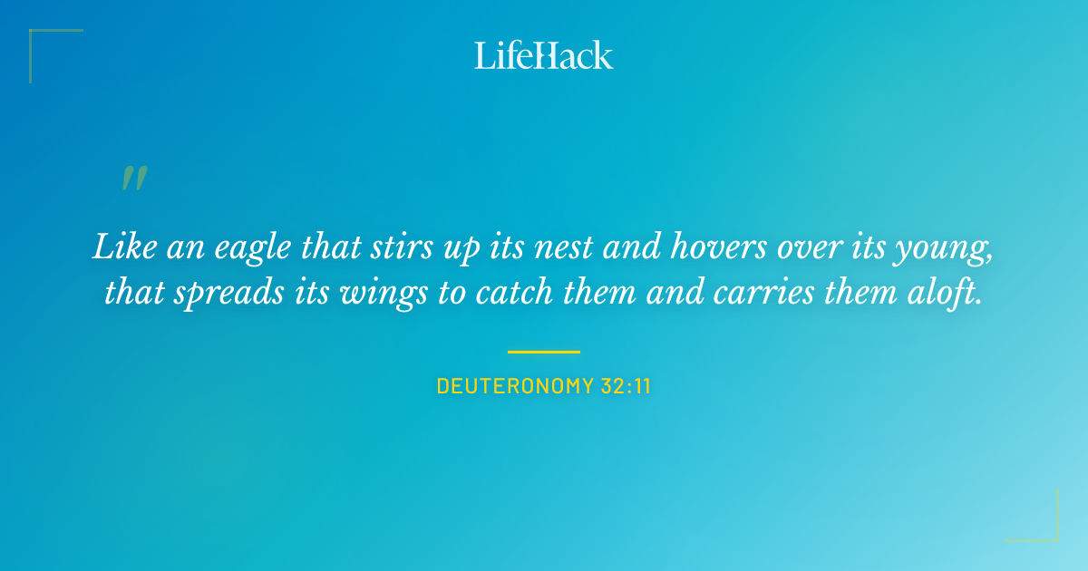 Quote by Deuteronomy 32:11