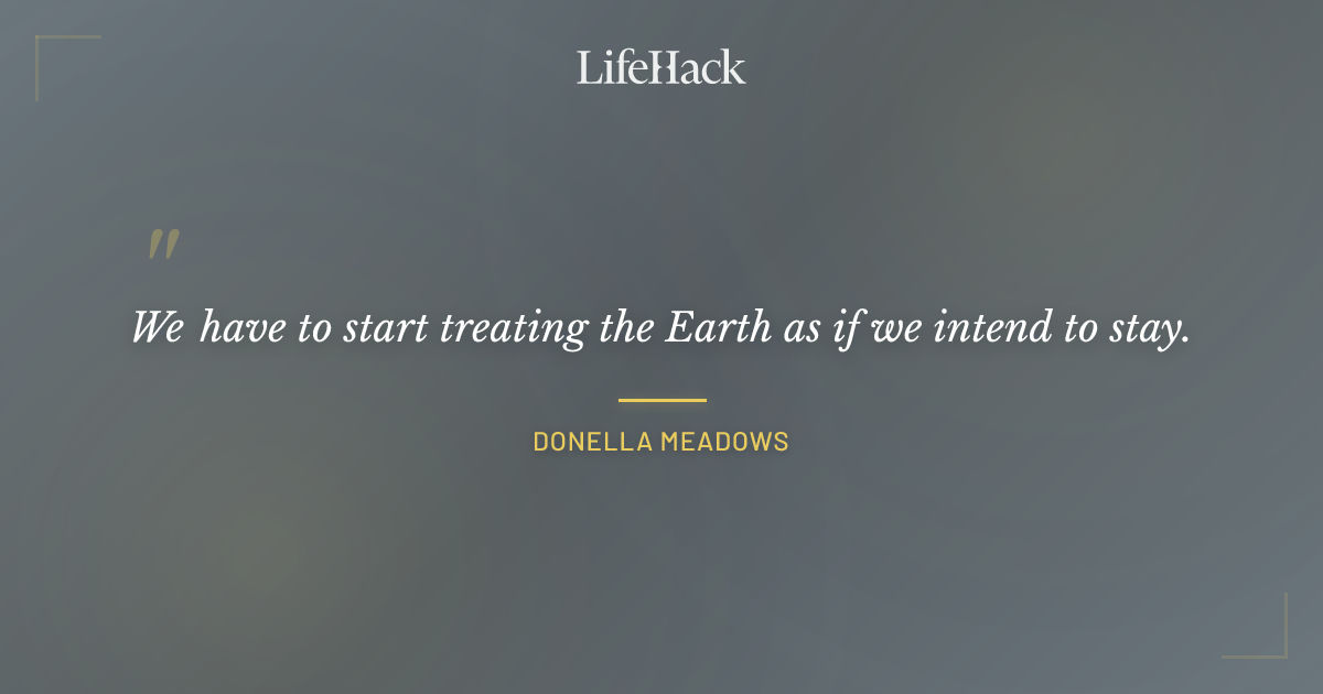 Quote by Donella Meadows
