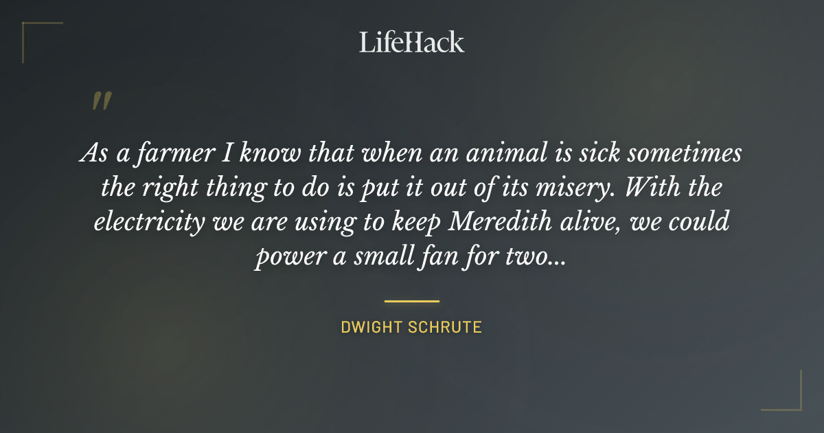 Quote by Dwight Schrute