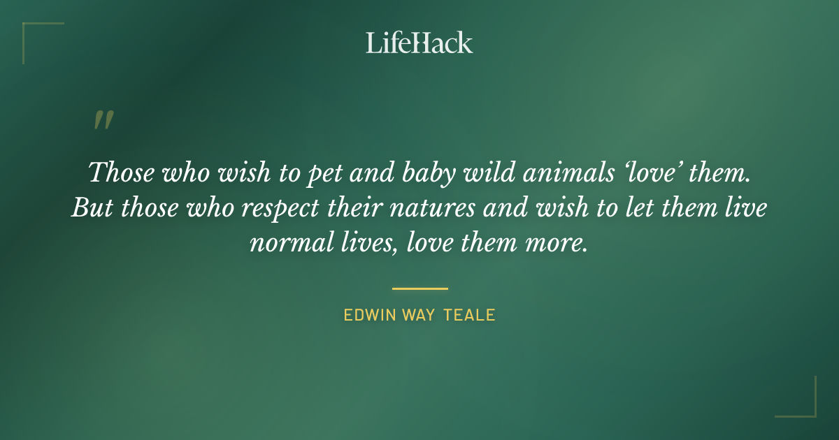 Quote by Edwin Way Teale