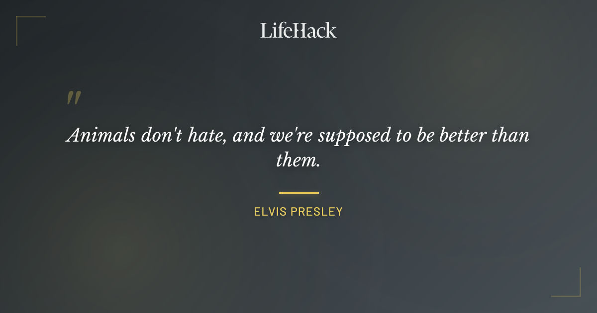 Quote by Elvis Presley