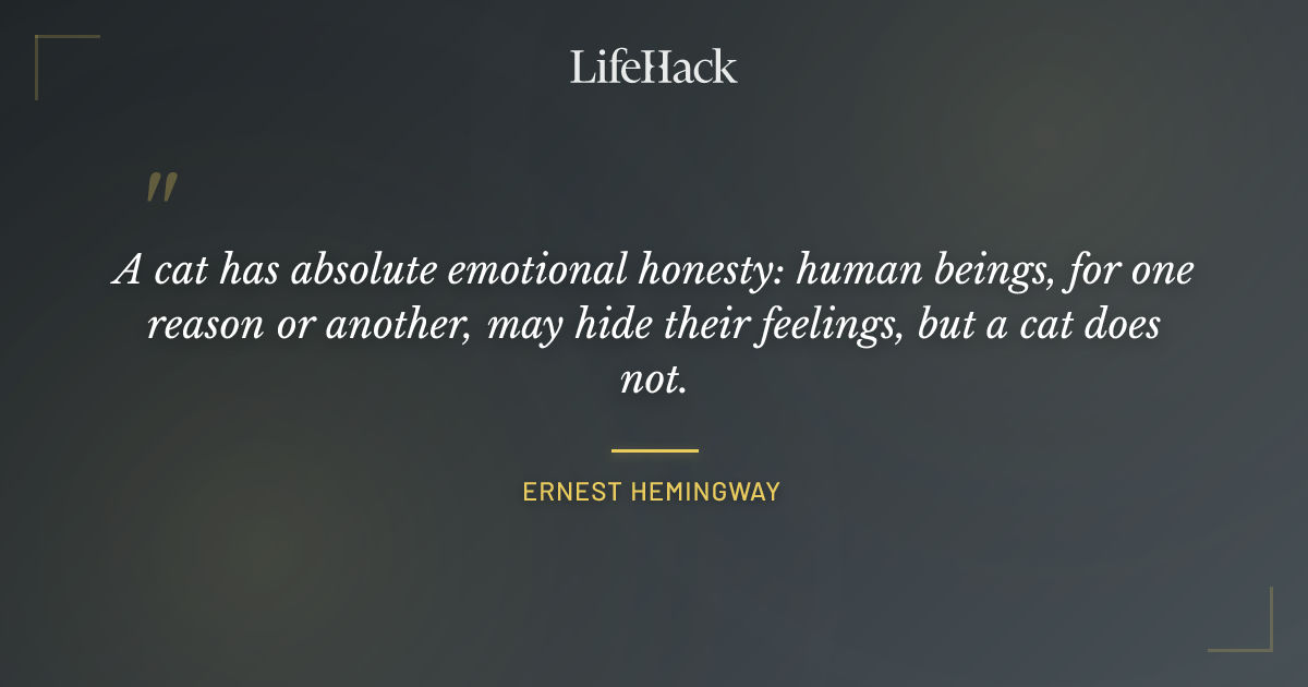 Quote by Ernest Hemingway