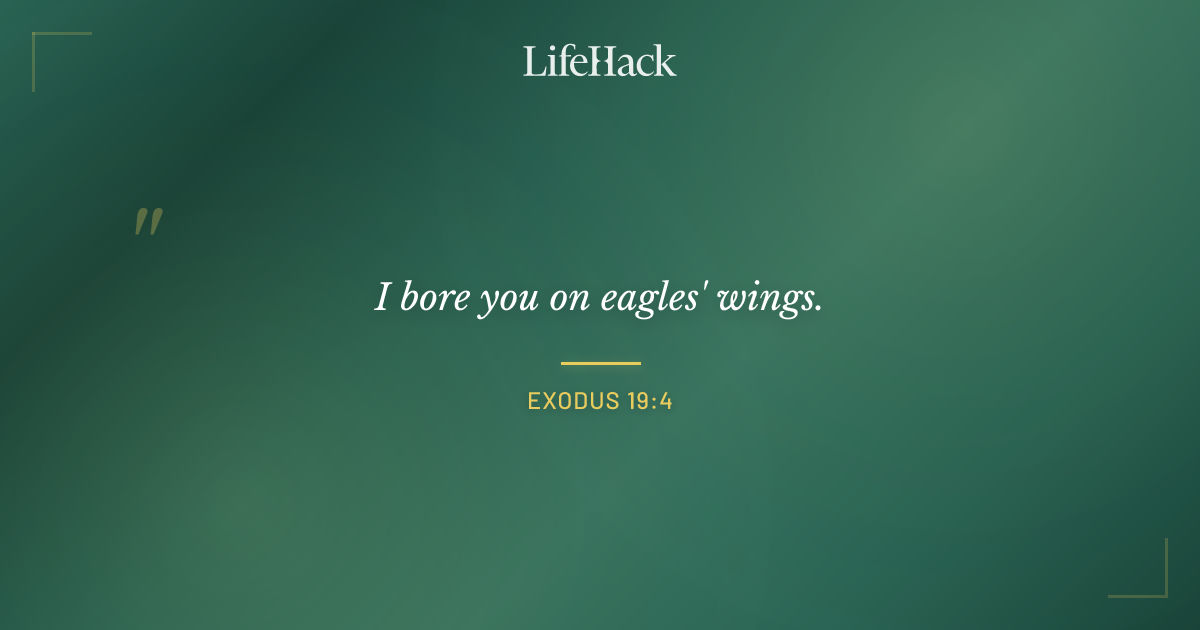 Quote by Exodus 19:4