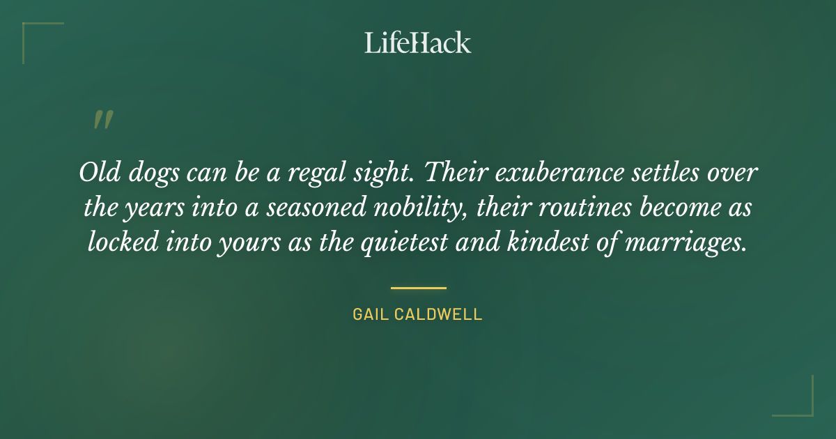 Quote by Gail Caldwell