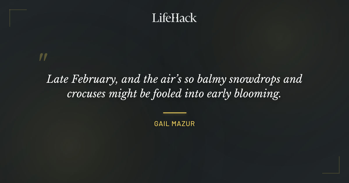 Quote by Gail Mazur