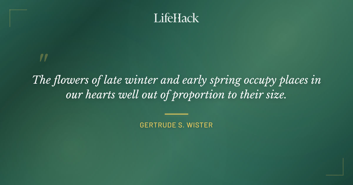 Quote by Gertrude S. Wister