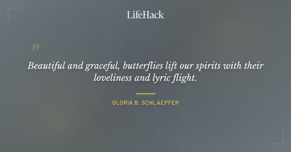 Quote by Gloria B. Schlaepfer