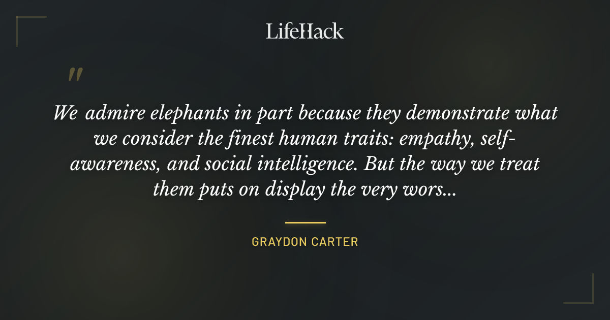 Quote by Graydon Carter