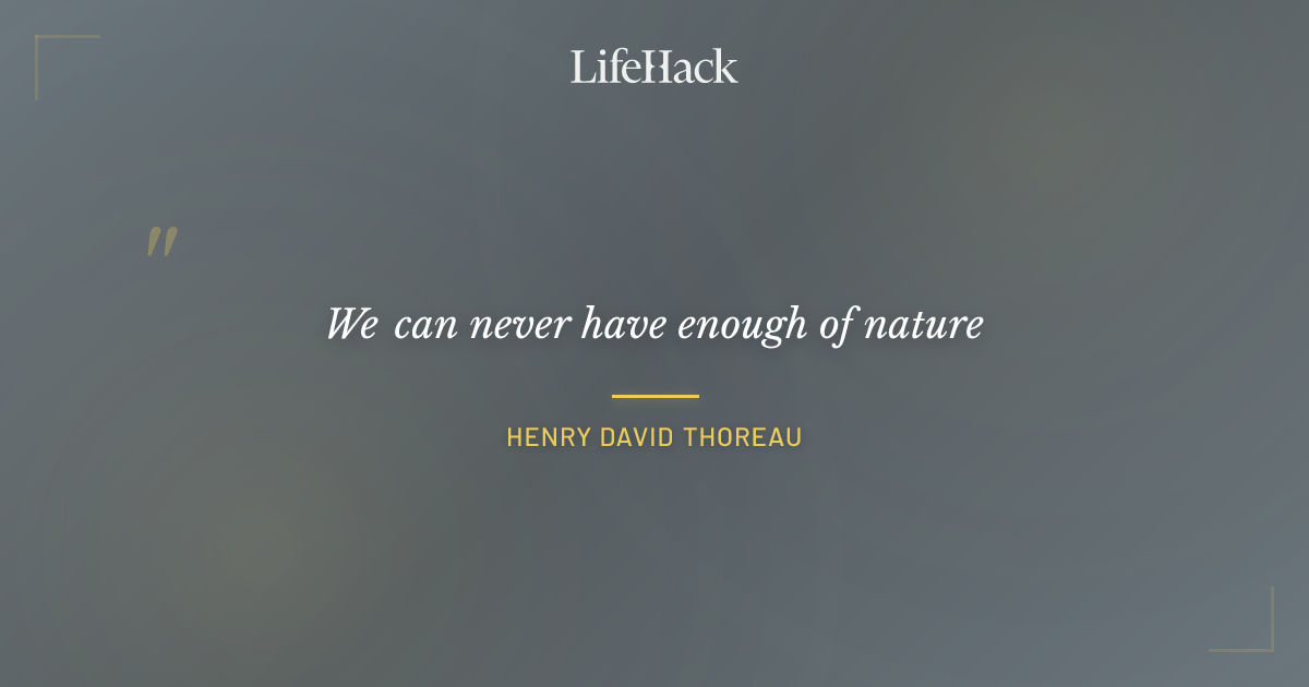 Quote by Henry David Thoreau