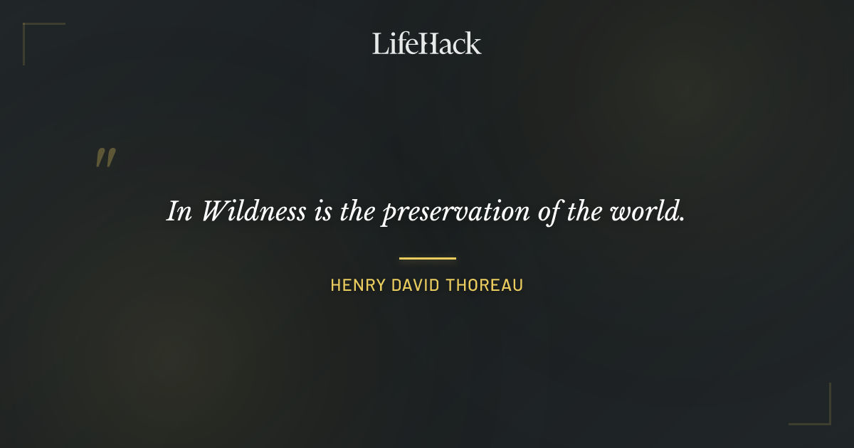 Quote by Henry David Thoreau