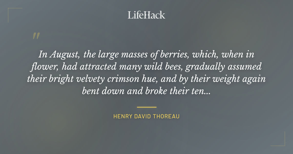 Quote by Henry David Thoreau
