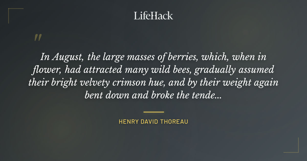 Quote by Henry David Thoreau