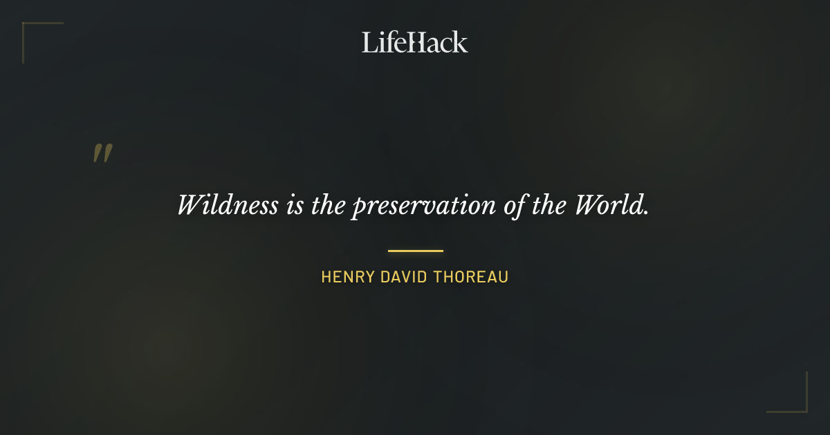 Quote by Henry David Thoreau