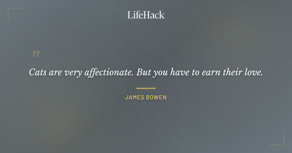 Quote by James Bowen