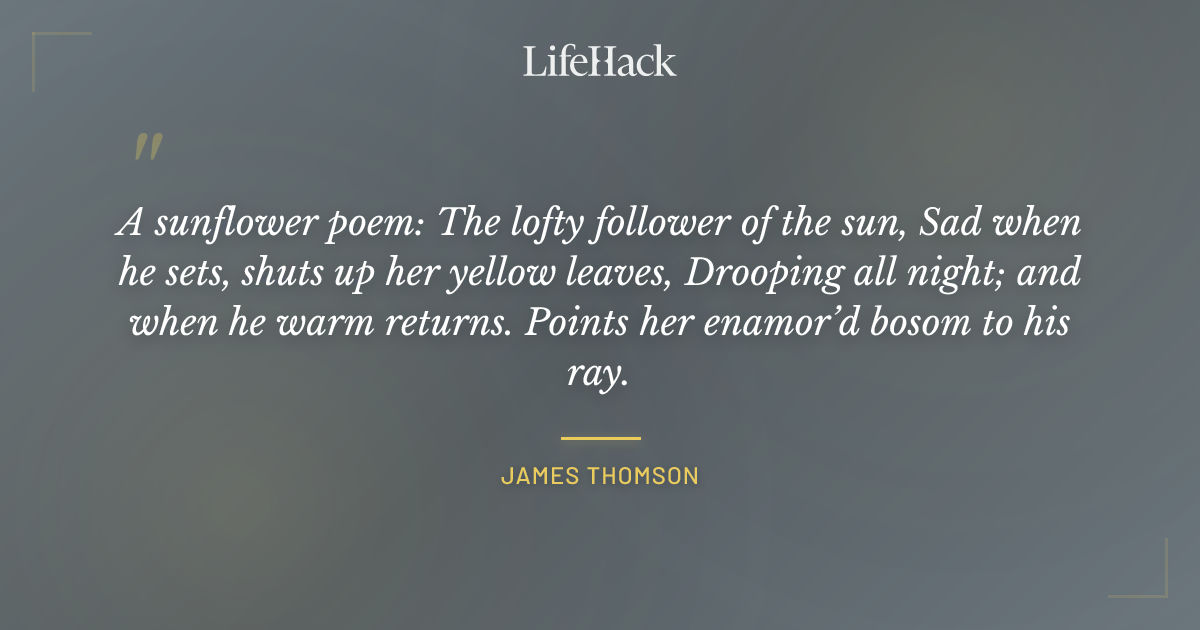 Quote by James Thomson