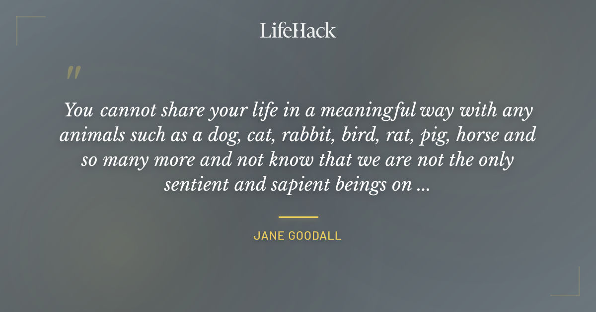 Quote by Jane Goodall