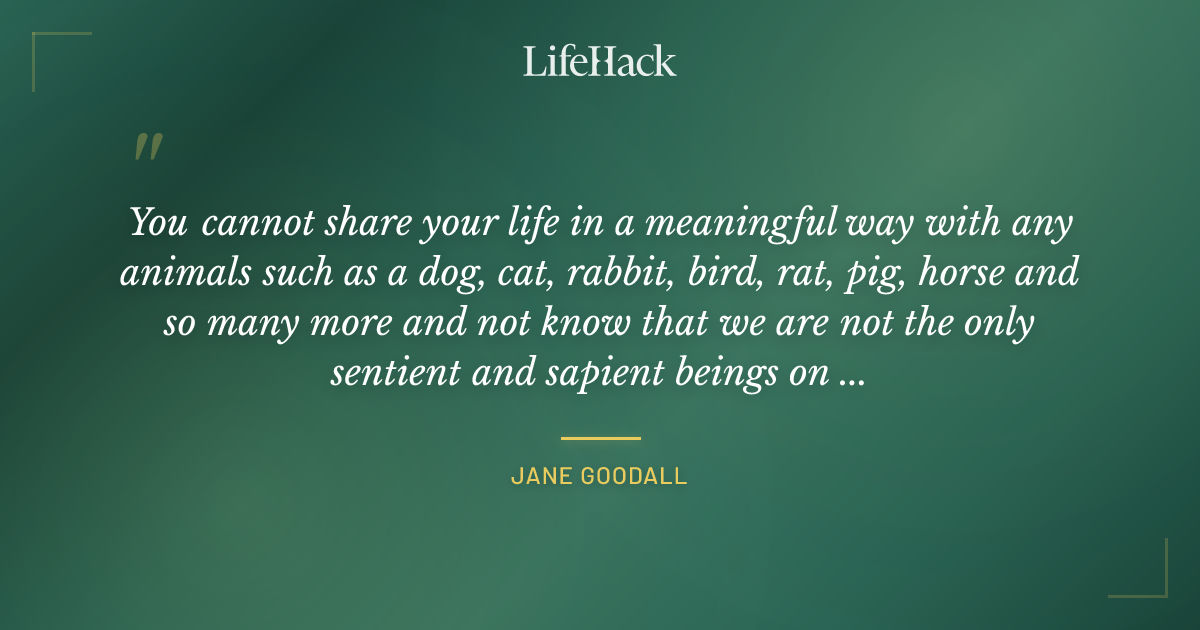 Quote by Jane Goodall