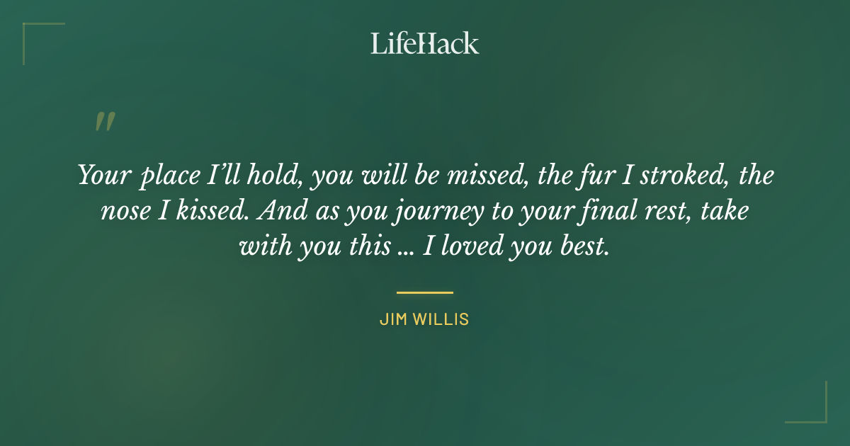 Quote by Jim Willis