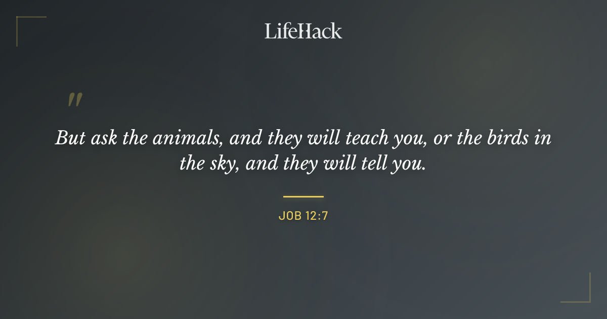 Quote by Job 12:7