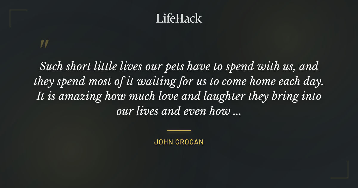 Quote by John Grogan