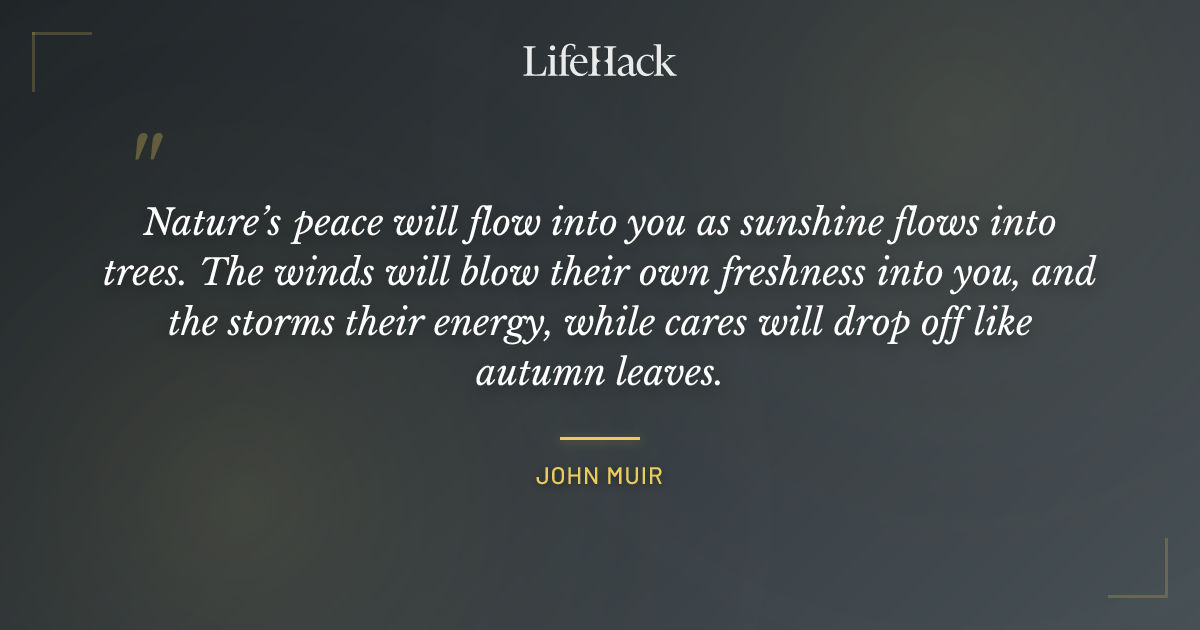 Quote by John Muir