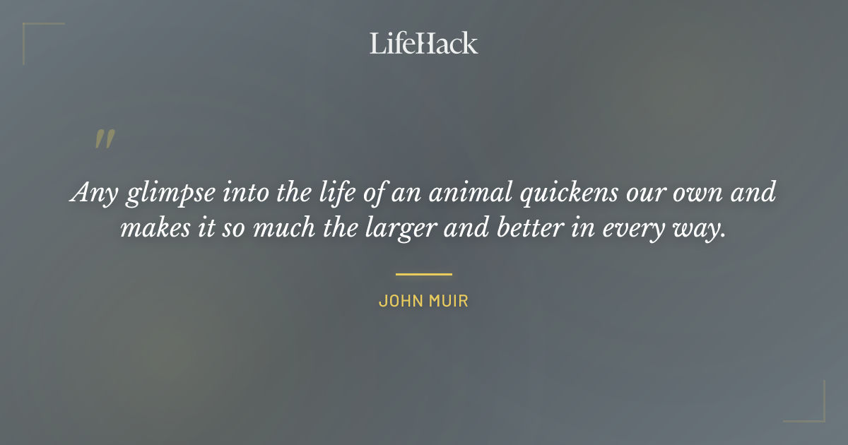 Quote by John Muir