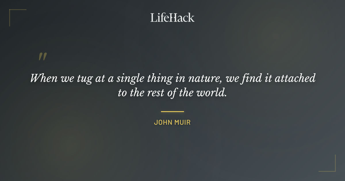 Quote by John Muir