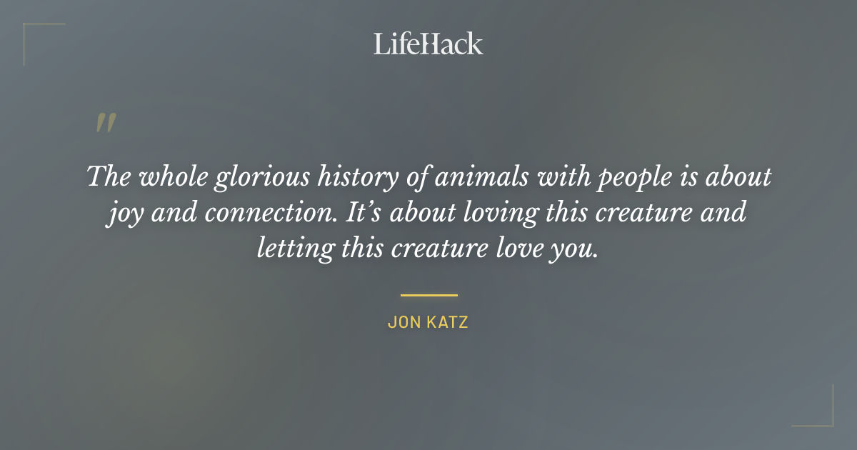 Quote by Jon Katz